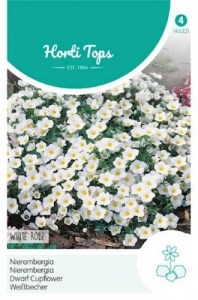 145321 Nierembergia hippomanica_500x500